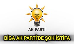 Biga AK Parti'de şok istifa