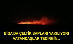 Çanakkale Biga'da çeltik sapları yakılıyor! Vatandaşlar tedirgin…