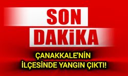 Çanakkale'nin ilçesinde yangın çıktı!