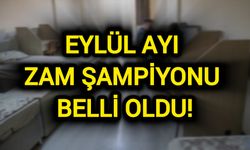 Eylül Ayı Zam Şampiyonu Belli Oldu! Fiyatı en çok düşen ise…