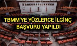 TBMM'ye "Sinyal Vermeyen Sürücülerden Ehliyet Alınsın" Teklifi!