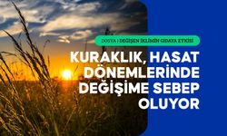 Kuraklık ve dengesiz yağışlar tarımsal üretimi etkiliyor