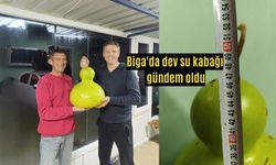 Biga’da Dev Su Kabağı Görenleri Hayrete Düşürdü