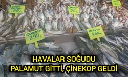 Havalar Soğudu, Palamut Gitti Çinekop Geldi