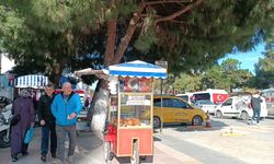 Çanakkale Biga’da kasım ayında yazdan kalma gün