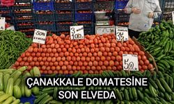 Çanakkale Domatesine son elveda