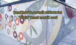 Çanakkale'de seramik atıklarından "zeytin" temalı mozaik eseri