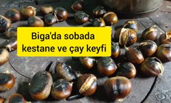 Çanakkale Biga köylerinde sobada kestane ve çay keyfi