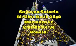 Palamut Göçü Balıkçıların Yüzünü Güldürdü