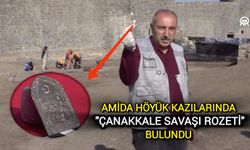 Amida Höyük kazılarında "Çanakkale Savaşı rozeti" bulundu