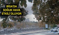 Çanakkale Biga’da soğuk hava etkili oluyor