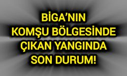 Biga’nın komşu bölgesinde çıkan yangında son durum!