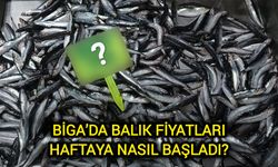 Çanakkale Biga’da Balık Fiyatları Haftaya Nasıl Başladı?