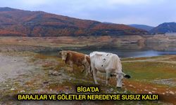 Çanakkale Biga'da Barajlar ve Göletler neredeyse susuz kaldı! İşte veriler…