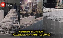 Çanakkale Biga’da hamsi bereketi! Kasa kasa avlandı!