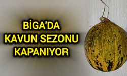 Çanakkale Biga'da Kavun Sezonu Kapanıyor