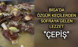 Çanakkale Biga’da özgür keçilerden sofraya gelen lezzet: Çepiş