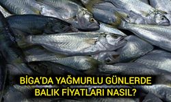 Çanakkale Biga’da yağmurlu günlerde balık fiyatları nasıl?