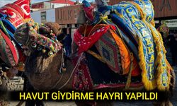 Çanakkale Çan'da havut giydirme hayrı yapıldı