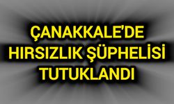 Çanakkale'de Hırsızlık Şüphelisi Tutuklandı