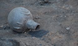 5 bin yıllık haşhaş ve nohut taneleri bulundu