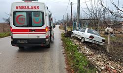 Elektrik direğine çarpan otomobildeki 2 kişi yaralandı