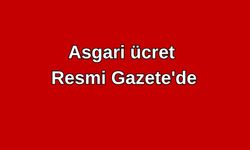 Asgari ücret kararına ilişkin tebliğ Resmi Gazete'de