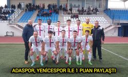 Adaspor, Yenicespor ile 1 puan paylaştı