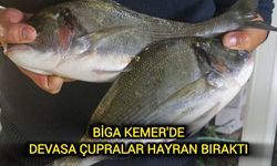 Biga Kemer'de devasa çupralar hayran bıraktı