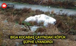 Biga Kocabaş Çayı'ndaki Köpük Şüphe Uyandırdı