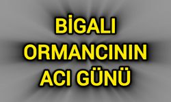 Bigalı ormancının acı günü