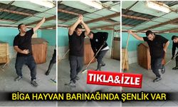 Çanakkale Biga hayvan barınağında şenlik var