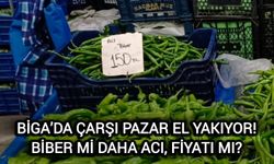 Çanakkale Biga’da çarşı pazar el yakıyor! Biber mi daha acı, fiyatı mı?