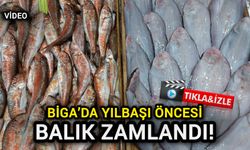 Çanakkale Biga’da yılbaşı öncesi balık zamlandı!