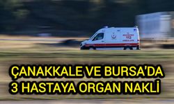 Çanakkale'de 2, Bursa'da 1: Nakil bekleyen 3 hastaya umut