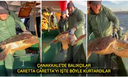 Çanakkale'de balıkçılar Caretta Caretta’yı işte böyle kurtardılar