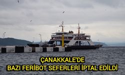 Çanakkale'de bazı feribot seferleri iptal edildi