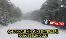 Çanakkale'nin yüksek yerleri, kara teslim oldu