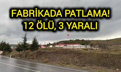 Fabrikada Patlama: 12 ölü, 3 yaralı