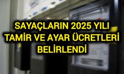 Sayaçların 2025 yılı tamir ve ayar ücretleri belirlendi