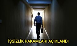 Son Dakika! İşsizlik rakamları açıklandı