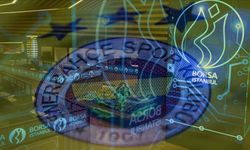 Kasımda Spor Şirketleri Arasında Kazandıran Tek Takım: Fenerbahçe