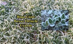 Biga Güne Beyaz Örtüyle Uyandı