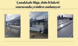 Çanakkale Biga, dolu felaketi sonrasında yeniden canlanıyor