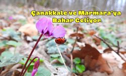 Çanakkale ve Marmara'ya Bahar Geliyor