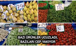 Çanakkale Biga Pazarında Fiyatlar Dalgalı!