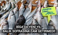 Çanakkale Biga’da yeni yıl, balık sofrasına zam getirmedi!