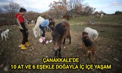 Çanakkale’de 10 at ve 6 eşekle doğayla iç içe yaşam