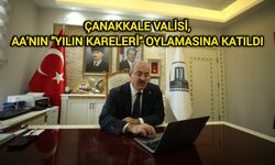 Çanakkale Valisi, AA'nın "Yılın Kareleri" oylamasına katıldı