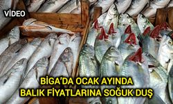 Çanakkale Biga’da ocak ayında balık fiyatlarına soğuk duş